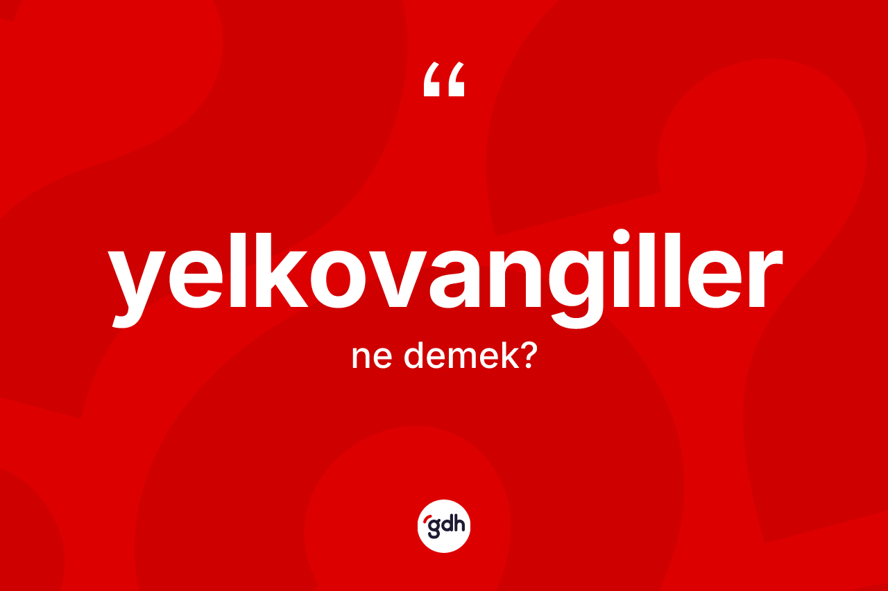 Yelkovangiller kelimesinin sözlükteki tanımı nedir? Yelkovangillerin TDK'ya göre anlamı nedir?