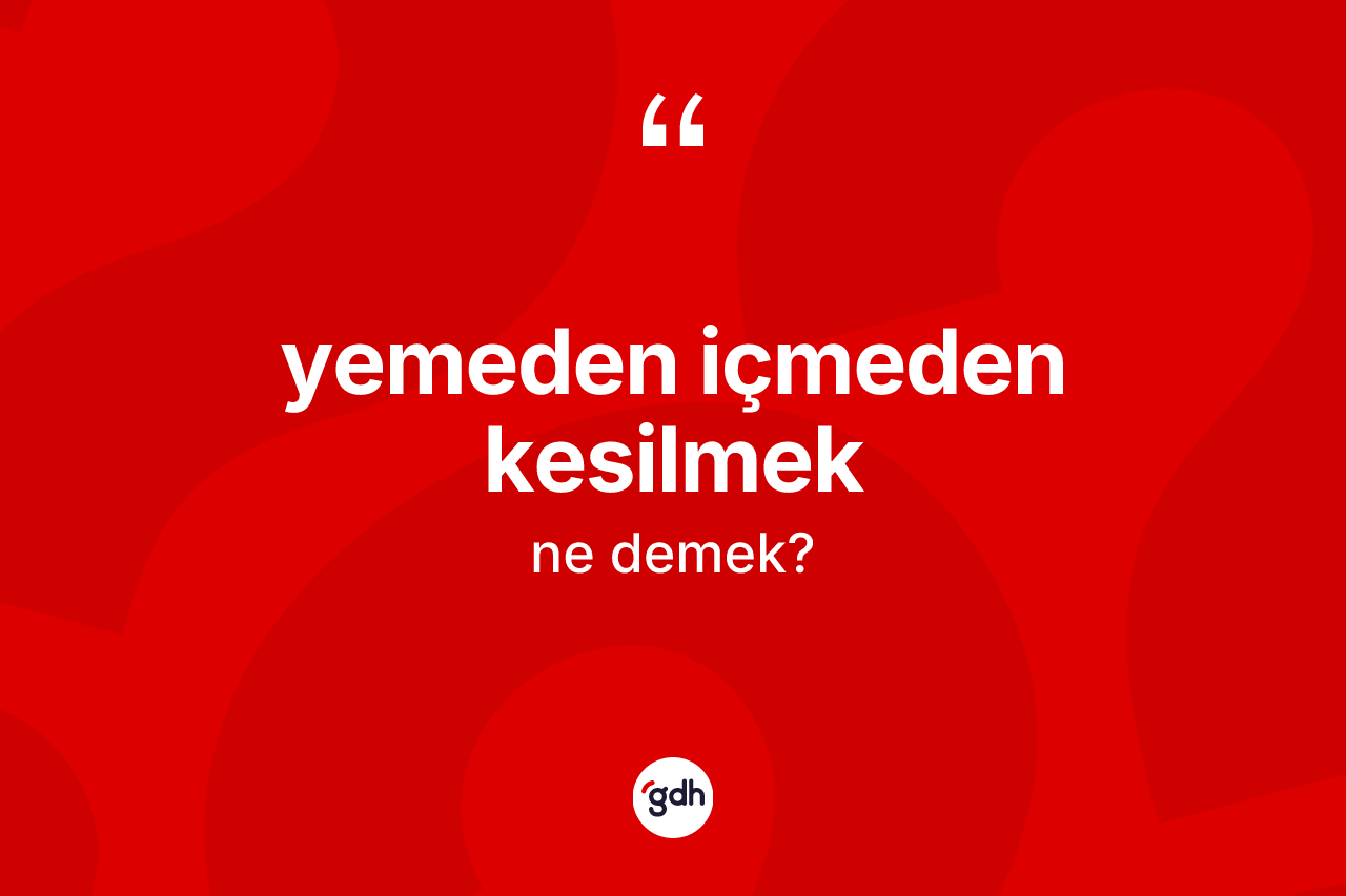 Yemeden içmeden kesilmek ifadesinin sözlükteki anlamı nedir? Yemeden içmeden kesilmek ifadesi nerede kullanılır?