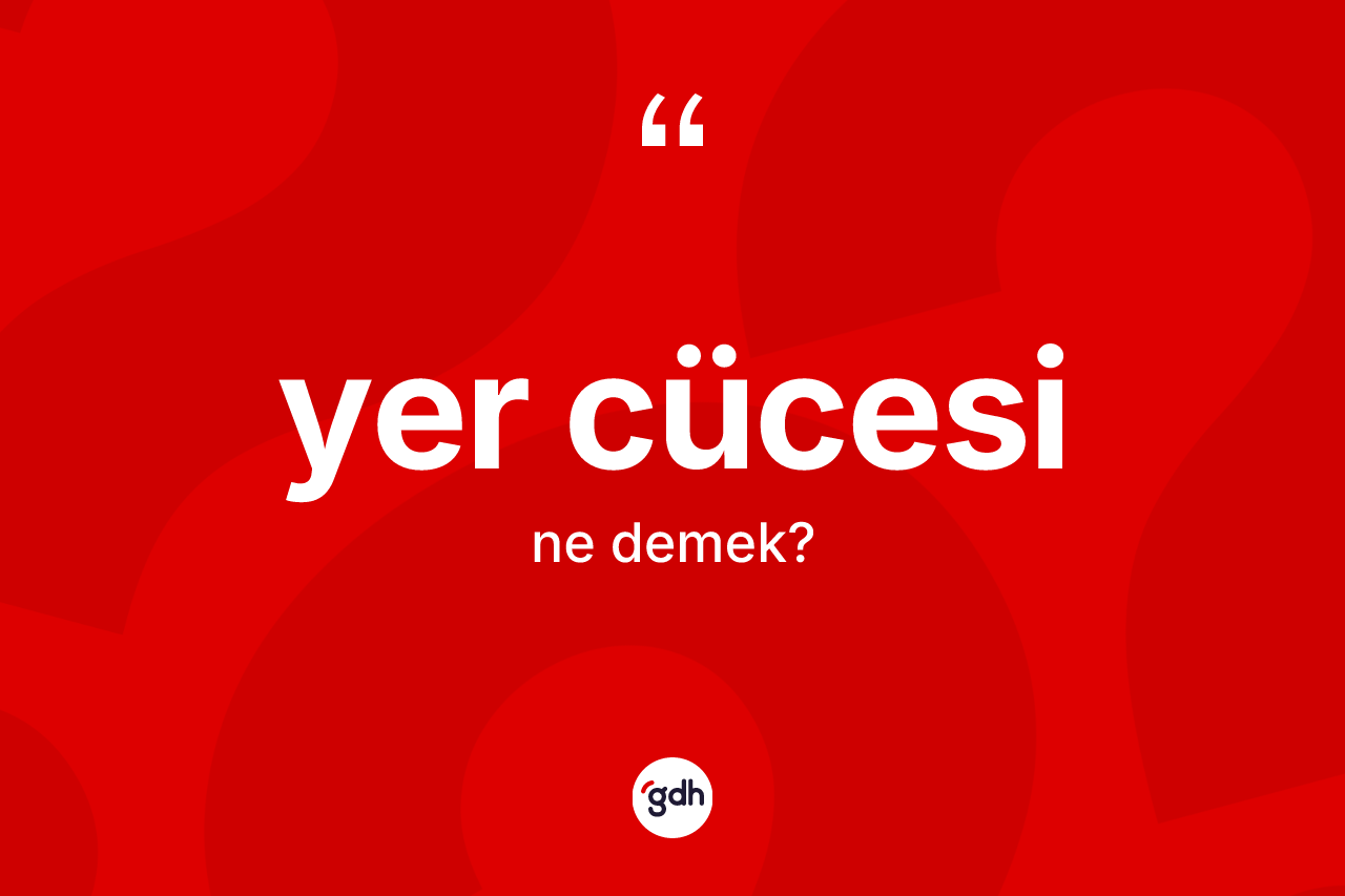 Yer cücesi kelimesinin anlamı nedir? Yer cücesi kelimesinin TDK'ya göre açıklaması nedir?