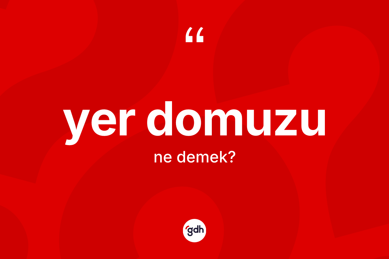 Yer domuzu nedir? Yer domuzunun TDK'ya göre anlamı nedir?