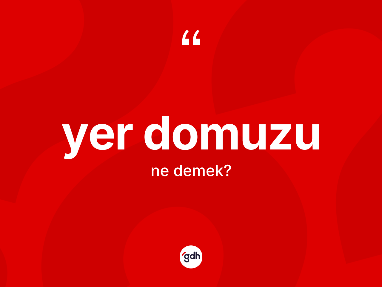 Yer domuzu nedir? Yer domuzunun TDK'ya göre anlamı nedir?