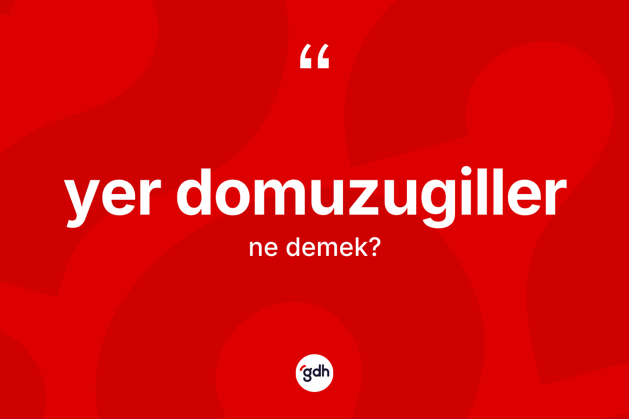Yer domuzugiller kelimesinin sözlükteki tanımı nedir? Yer domuzugillerin sözlükteki anlamı nedir?