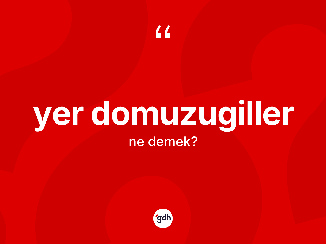 Yer domuzugiller kelimesinin sözlükteki tanımı nedir? Yer domuzugillerin sözlükteki anlamı nedir?