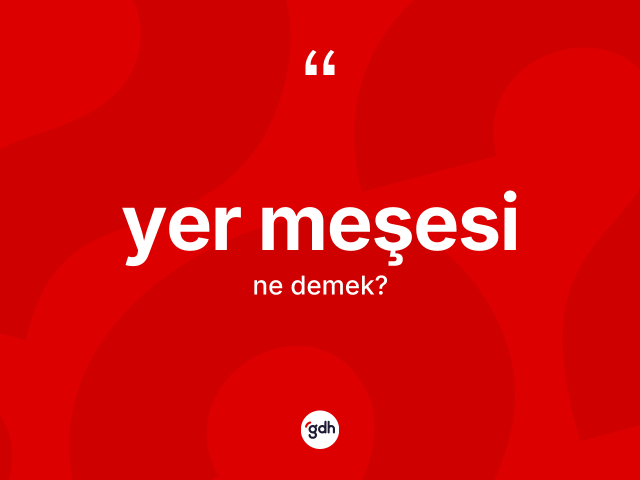 Yer meşesi kelimesi ne anlama gelir? Yer meşesinin sözlükteki anlamı nedir?