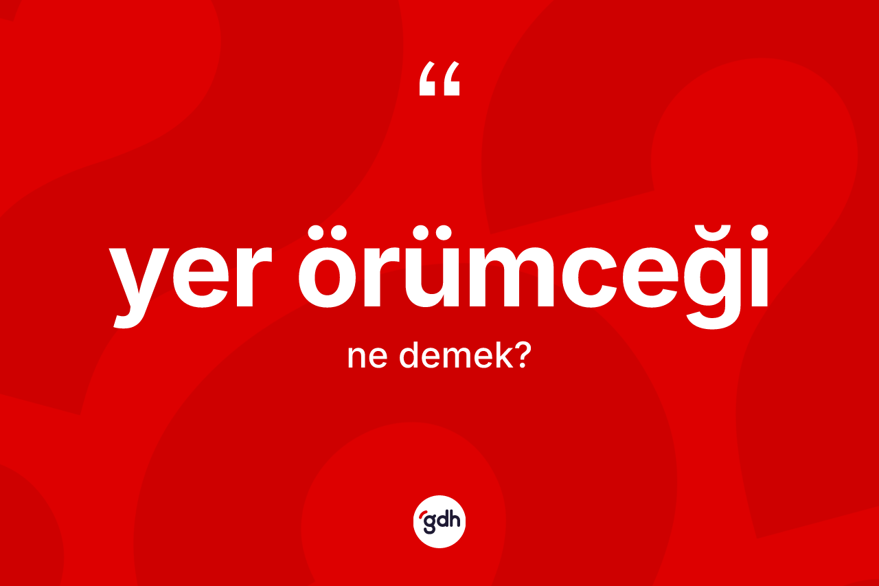 Yer örümceği kelimesinin sözlükteki tanımı nedir? Yer örümceğinin TDK'ya göre anlamı nedir?