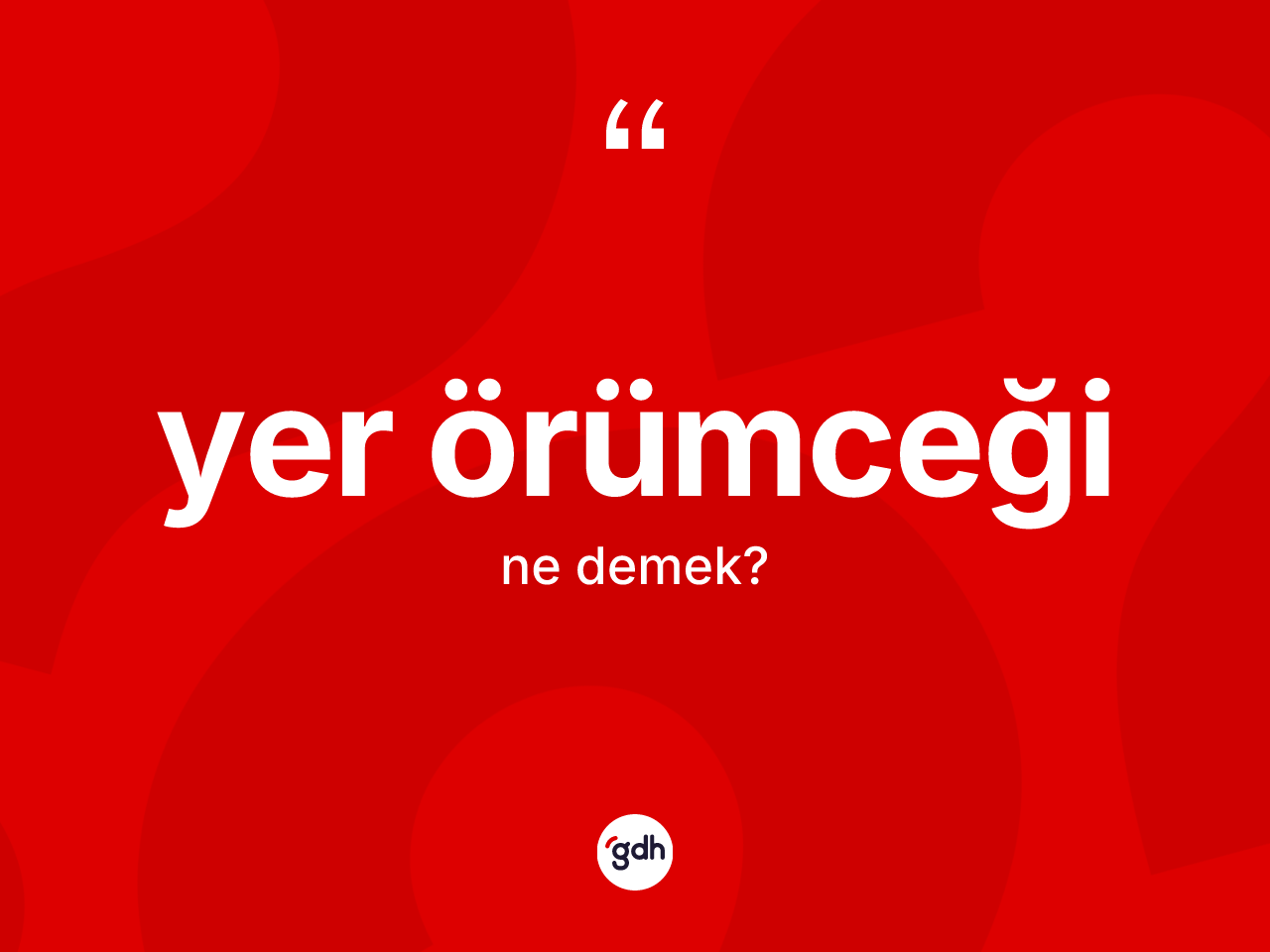 Yer örümceği kelimesinin sözlükteki tanımı nedir? Yer örümceğinin TDK'ya göre anlamı nedir?