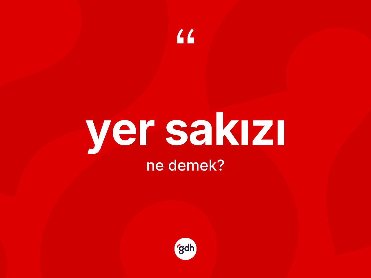 Yer sakızı ne anlama gelir? Yer sakızı kelimesinin TDK'ya göre açıklaması nedir?