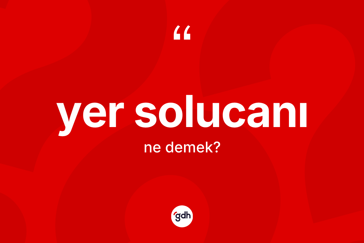 Yer solucanı kelimesinin tanımı nedir? Yer solucanı kelimesinin kaç farklı anlamı var?