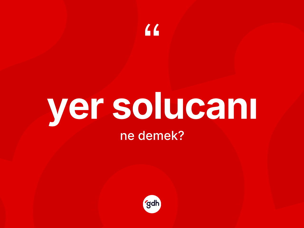 Yer solucanı kelimesinin tanımı nedir? Yer solucanı kelimesinin kaç farklı anlamı var?