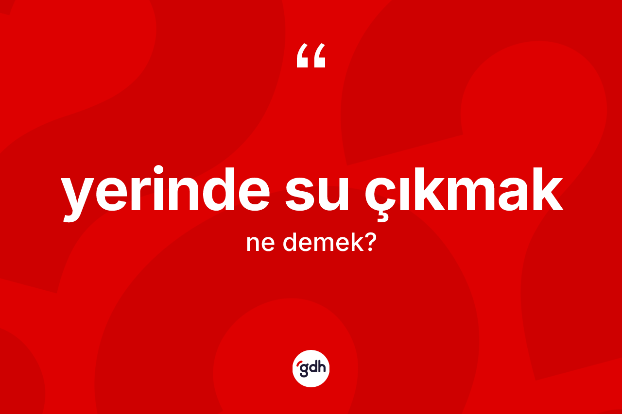 Yerinde su çıkmak ifadesinin sözlükteki anlamı nedir? Yerinde su çıkmak sözü nerede kullanılır?