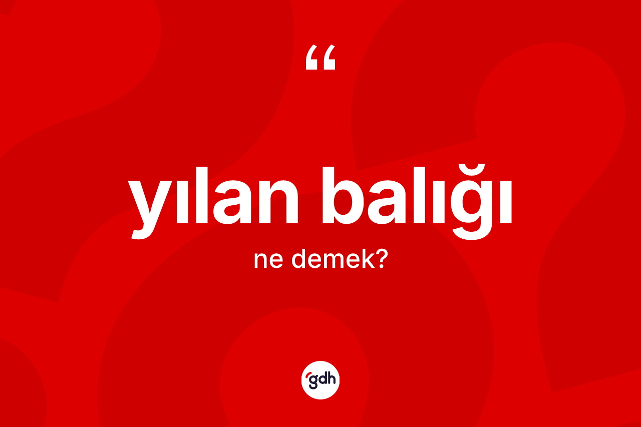 Yılan balığı kelimesi nedir?