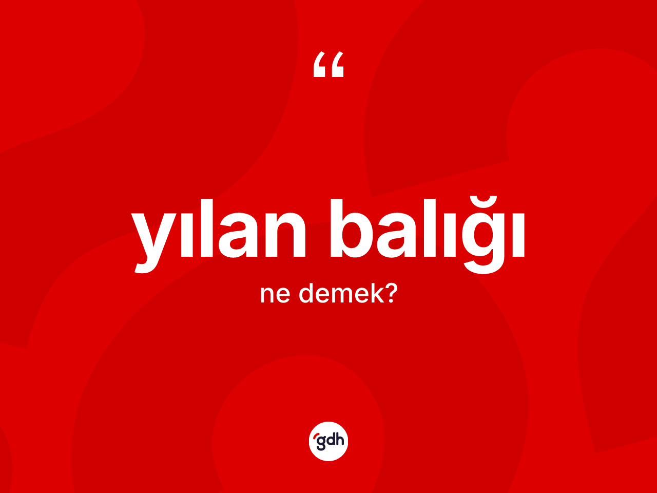 Yılan balığı kelimesi nedir? Yılan balığının TDK'ya göre anlamı nedir?