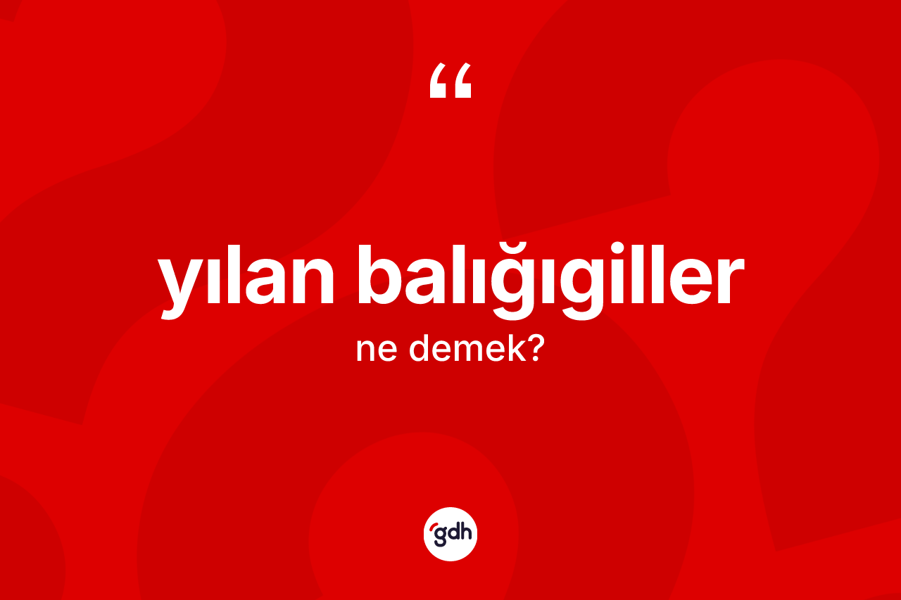 Yılan balığıgiller kelimesinin tanımı nedir? Yılan balığıgillerin kısaca tanımı nedir?