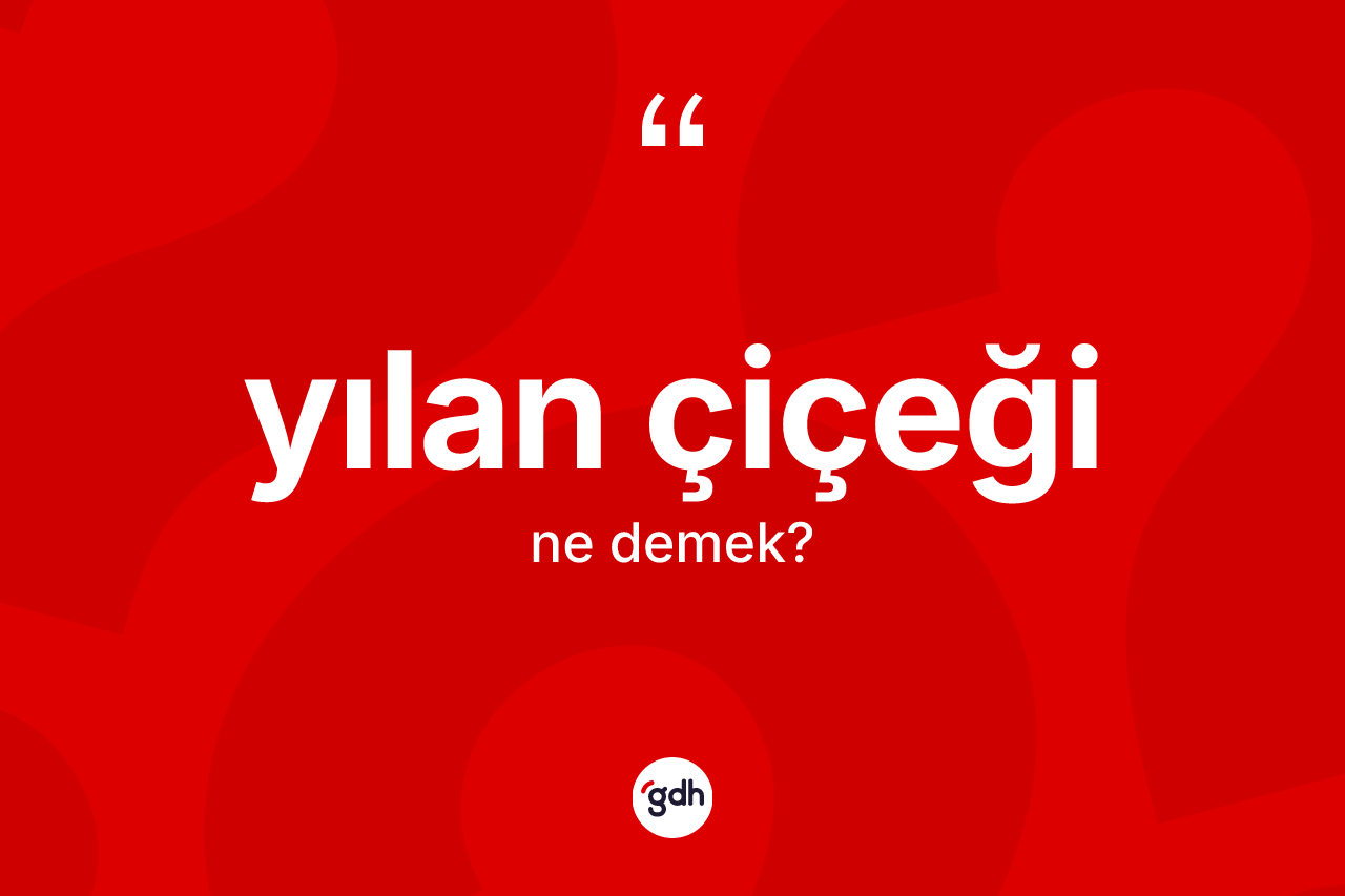 Yılan çiçeği kelimesi ne anlama gelir? Yılan çiçeğinin TDK'ya göre anlamı nedir?