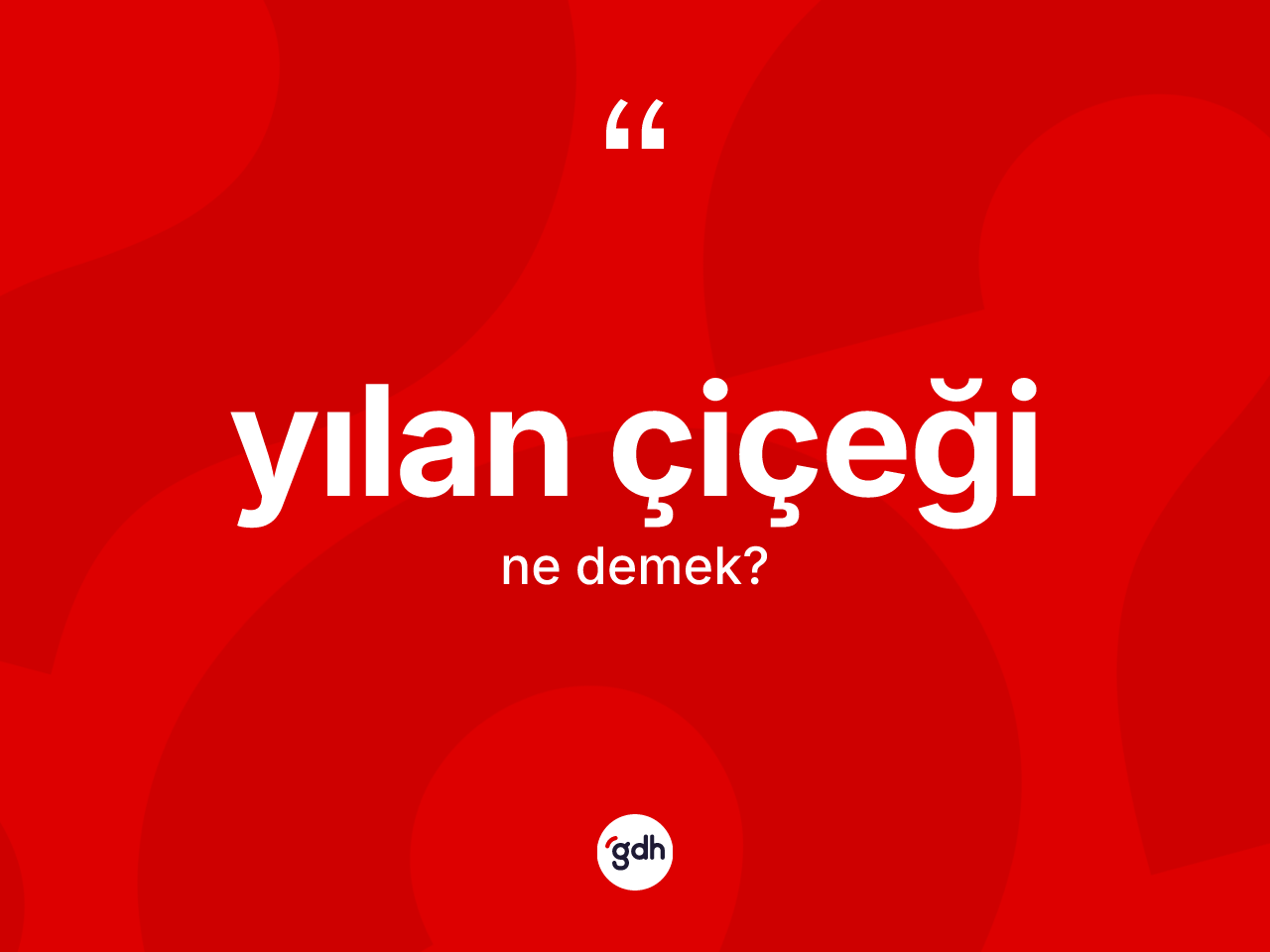 Yılan çiçeği kelimesi ne anlama gelir? Yılan çiçeğinin TDK'ya göre anlamı nedir?