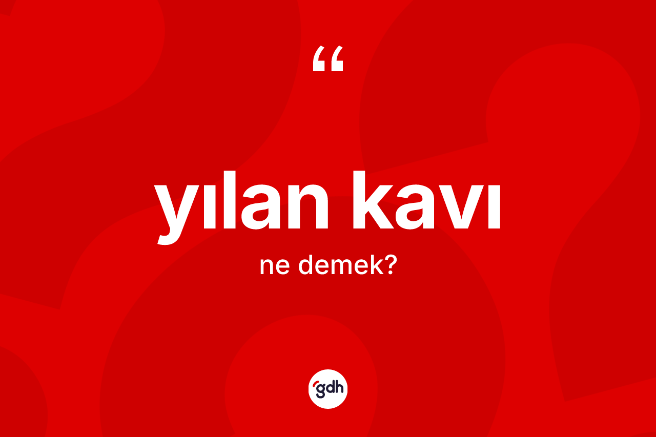 Yılan kavı kelimesi ne anlama gelir? Yılan kavının TDK'ya göre anlamı nedir?