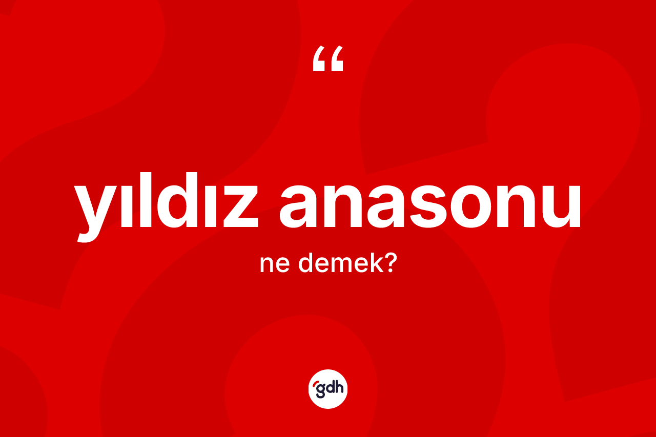 Yıldız anasonu kelimesi ne demek?
