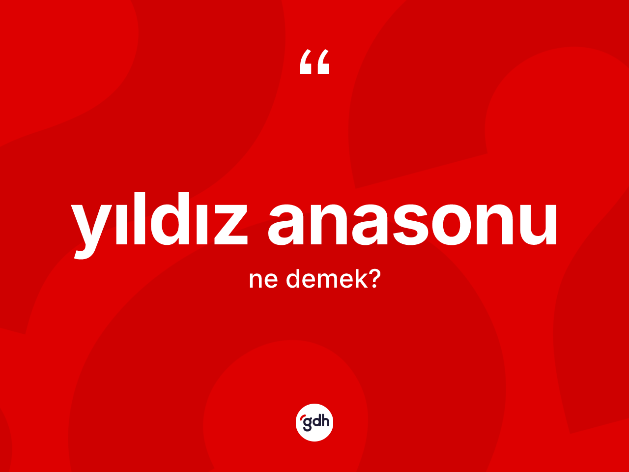 Yıldız anasonu kelimesi ne demek? Yıldız anasonunun TDK'ya göre anlamı nedir?
