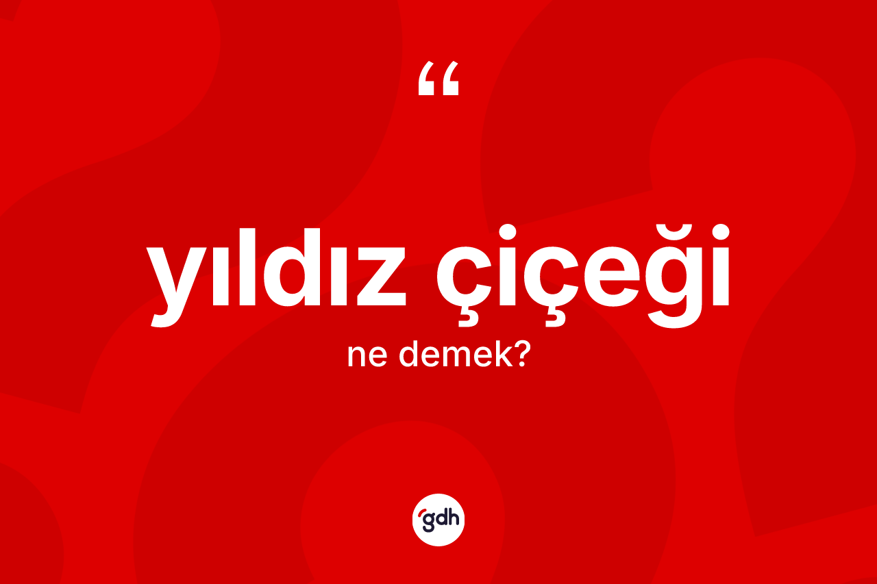 Yıldız çiçeği kelimesi ne demek?