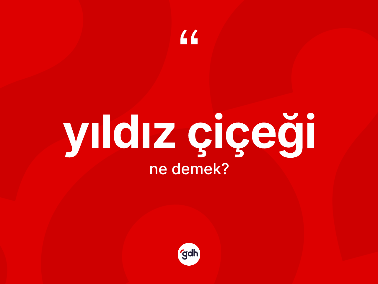 Yıldız çiçeği kelimesi ne demek? Yıldız çiçeğinin TDK'ya göre anlamı nedir?