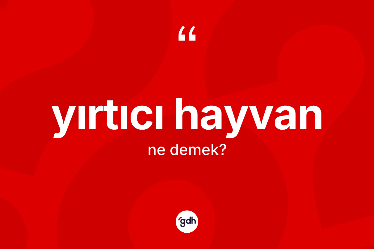 Yırtıcı hayvan kelimesinin anlamı nedir? Yırtıcı hayvanın kısaca tanımı nedir?