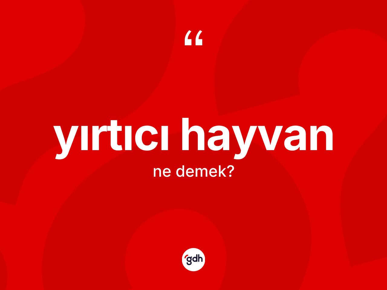 Yırtıcı hayvan kelimesinin anlamı nedir? Yırtıcı hayvanın kısaca tanımı nedir?