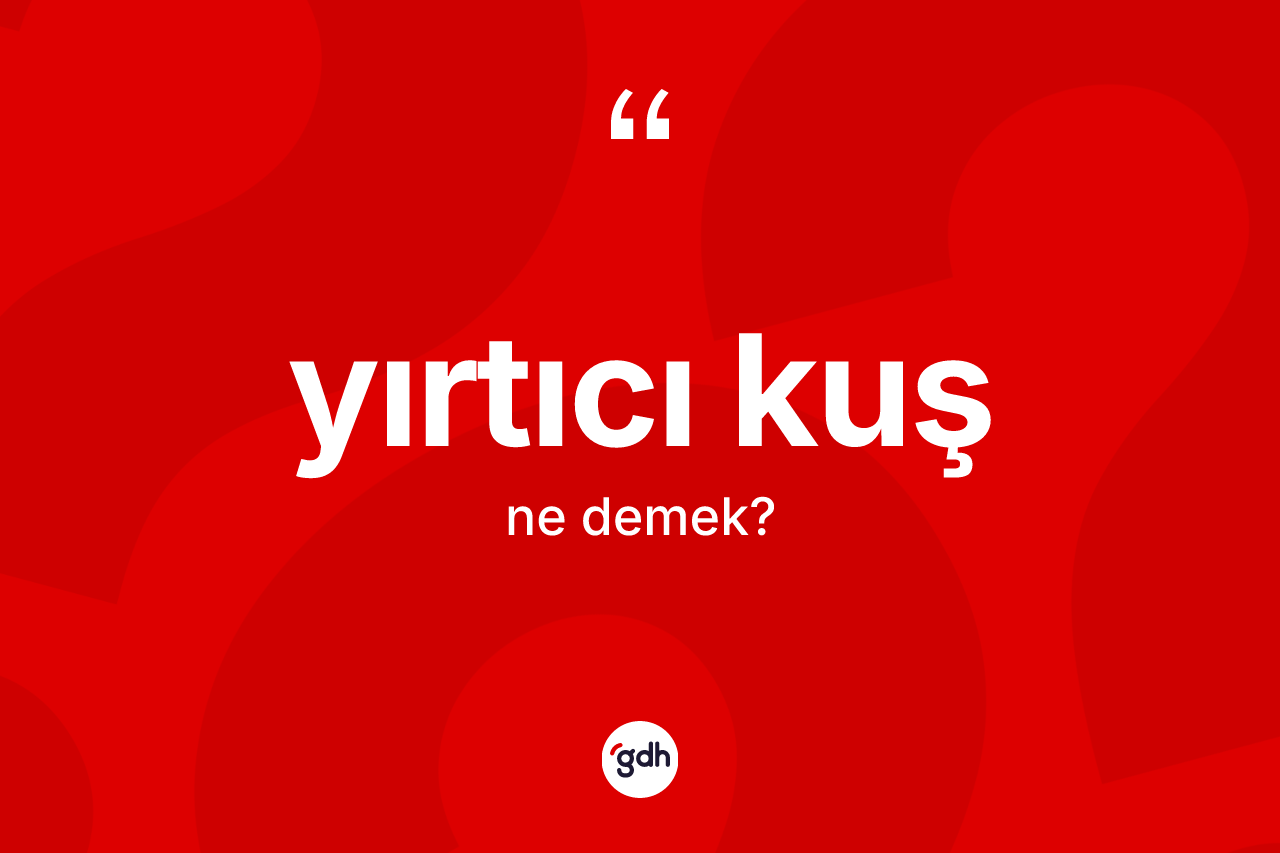 Yırtıcı kuş kelimesinin tanımı nedir? Yırtıcı kuşun TDK'ya göre anlamı nedir?