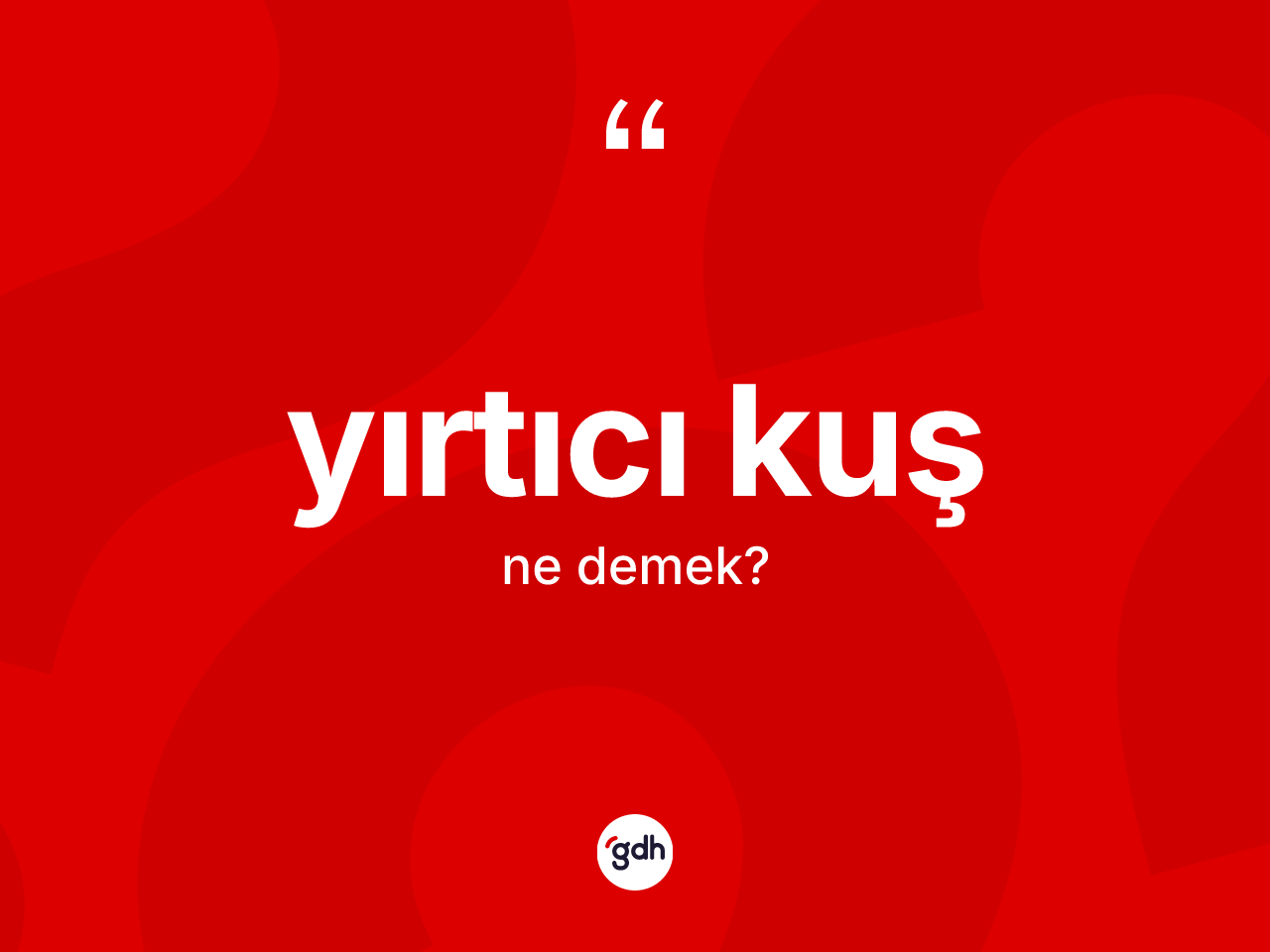 Yırtıcı kuş kelimesinin tanımı nedir? Yırtıcı kuşun TDK'ya göre anlamı nedir?