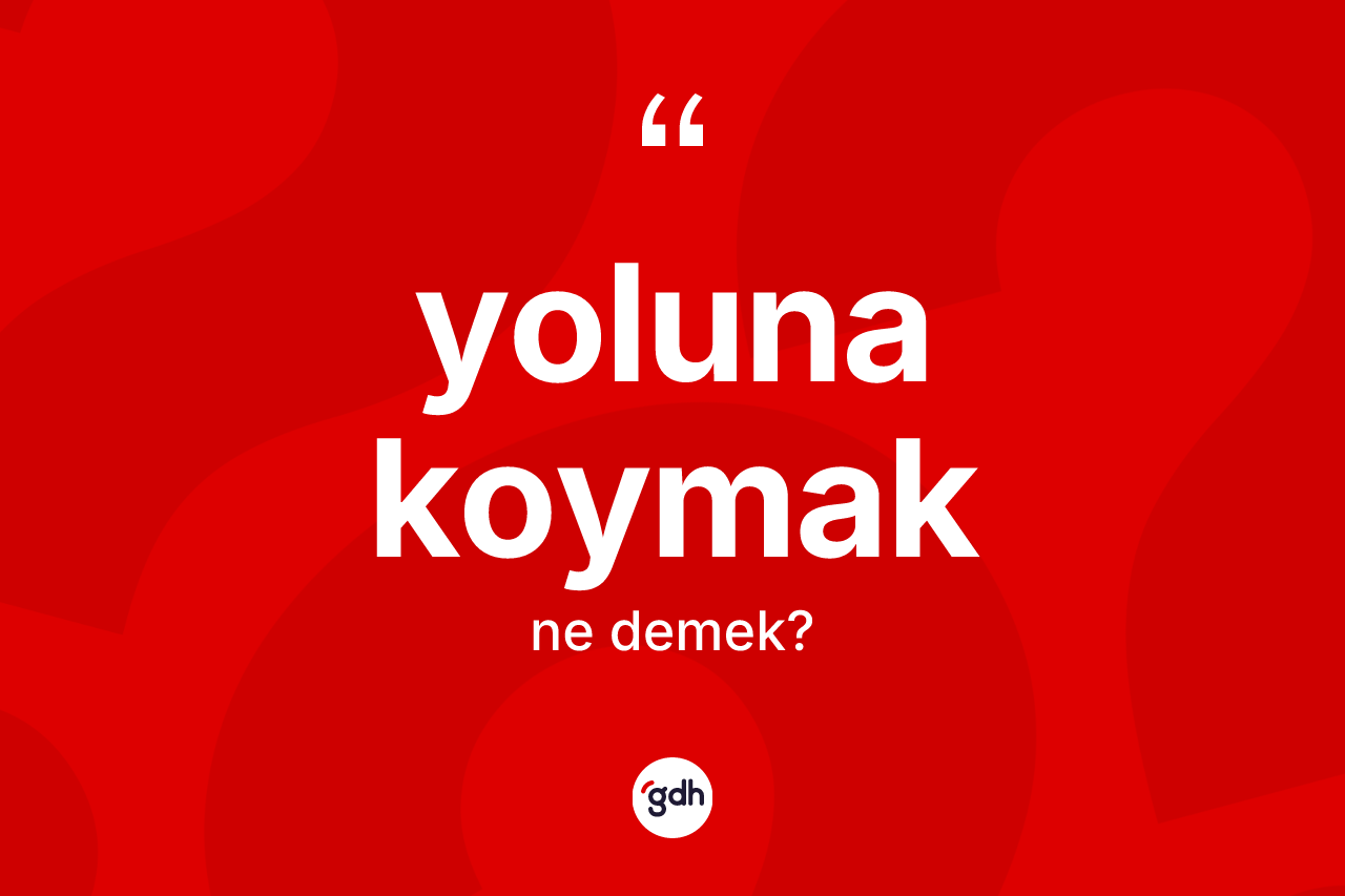 Yoluna koymak ifadesi ne demek? Yoluna koymak sözünün TDK anlamı nedir?