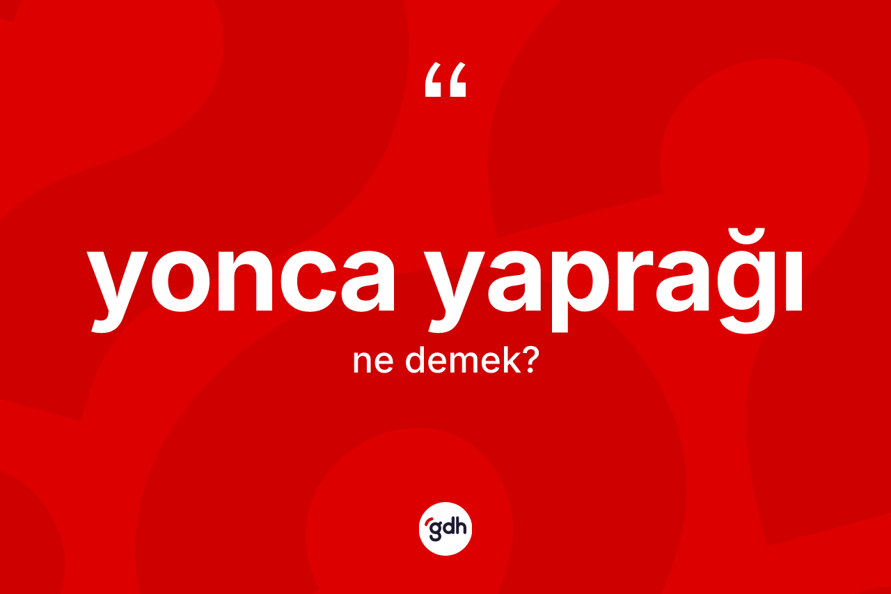 Yonca yaprağı ne anlama gelir? Yonca yaprağı kelimesinin özellikleri nelerdir?