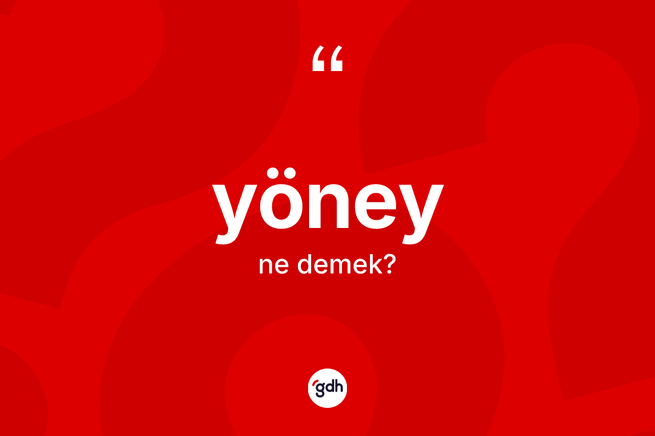 Yöney kelimesinin anlamı nedir? Yöneyin TDK'ya göre anlamı nedir?