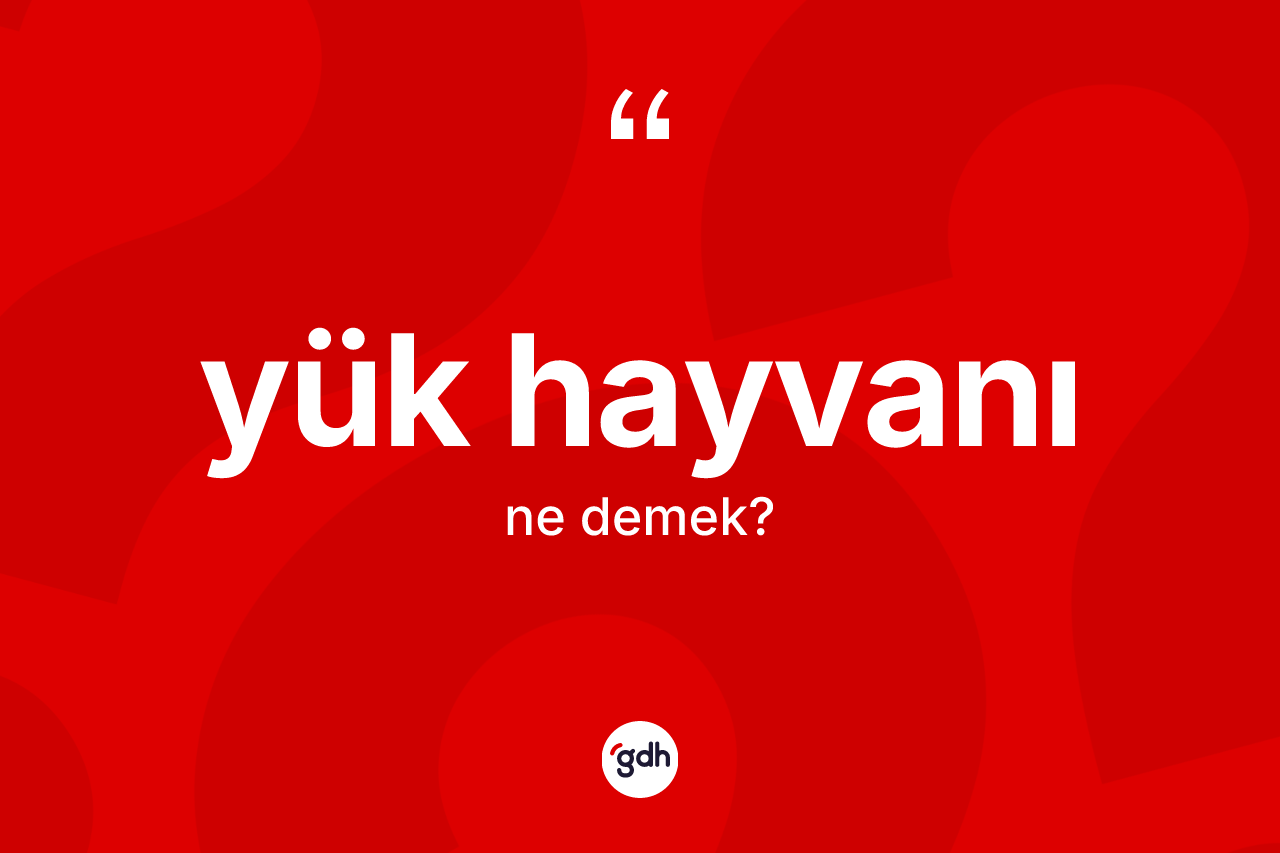 Yük hayvanı kelimesinin anlamı nedir? Yük hayvanının TDK'ya göre anlamı nedir?