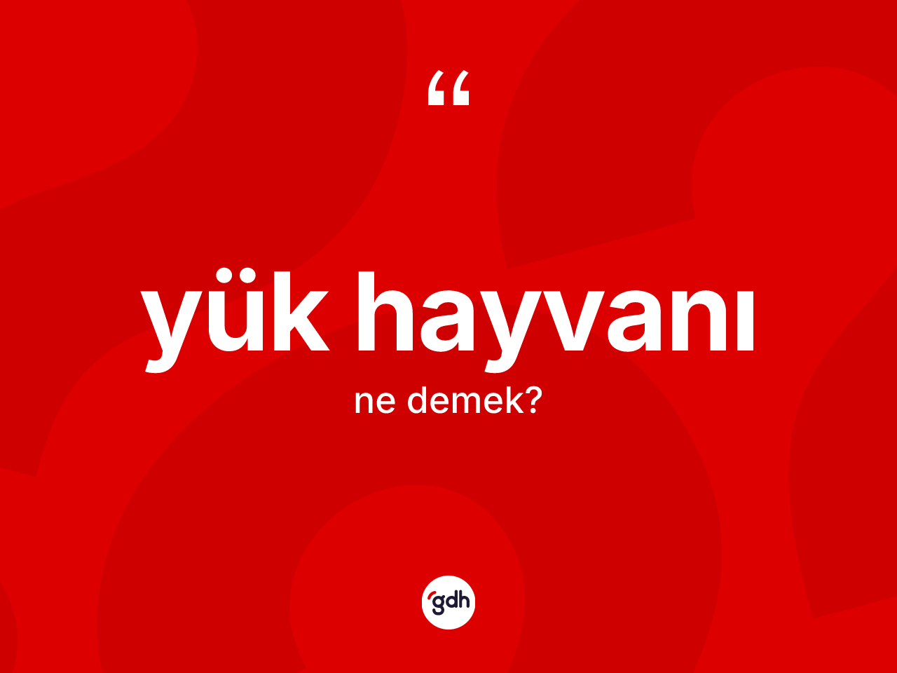 Yük hayvanı kelimesinin anlamı nedir? Yük hayvanının TDK'ya göre anlamı nedir?
