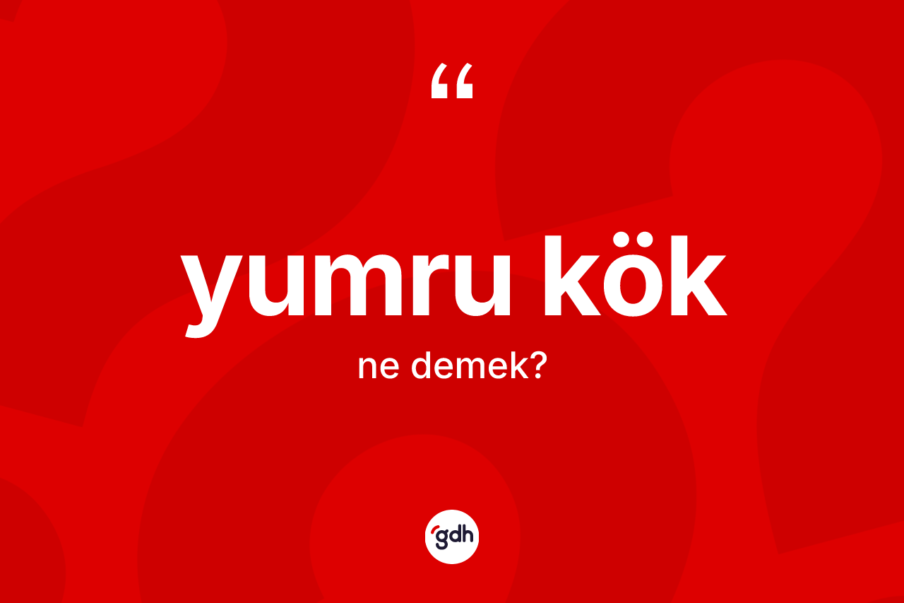 Yumru kök kelimesinin tanımı nedir? Yumru kök kelimesinin TDK anlamı nedir?