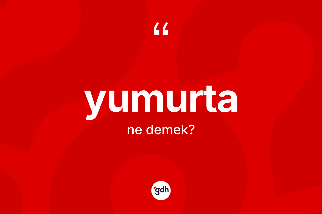 Yumurta kelimesinin anlamı nedir? Yumurtanın TDK'ya göre anlamı nedir?