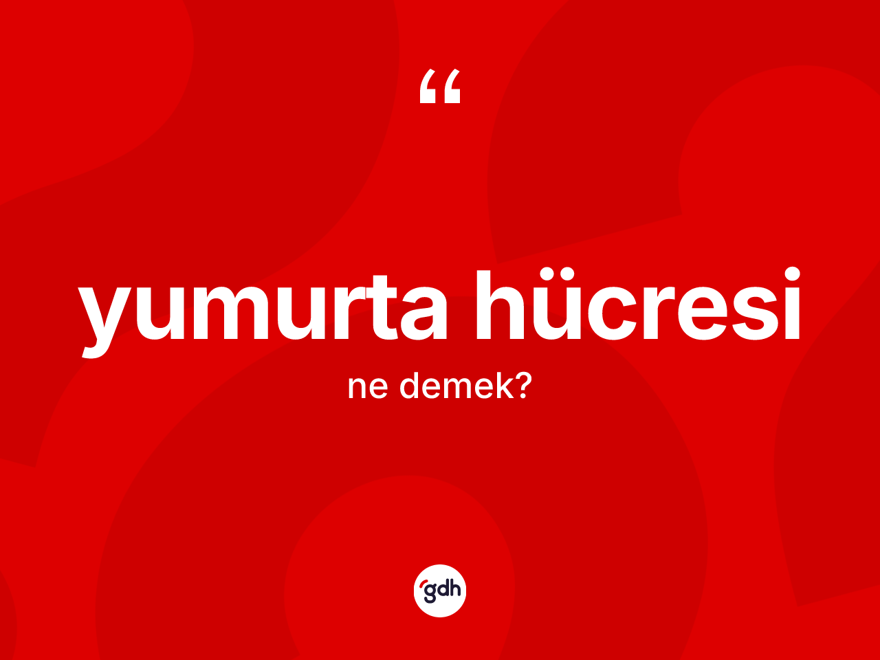 Yumurta hücresi ne anlama gelir? Yumurta hücresinin halk arasındaki kullanımı nasıldır?