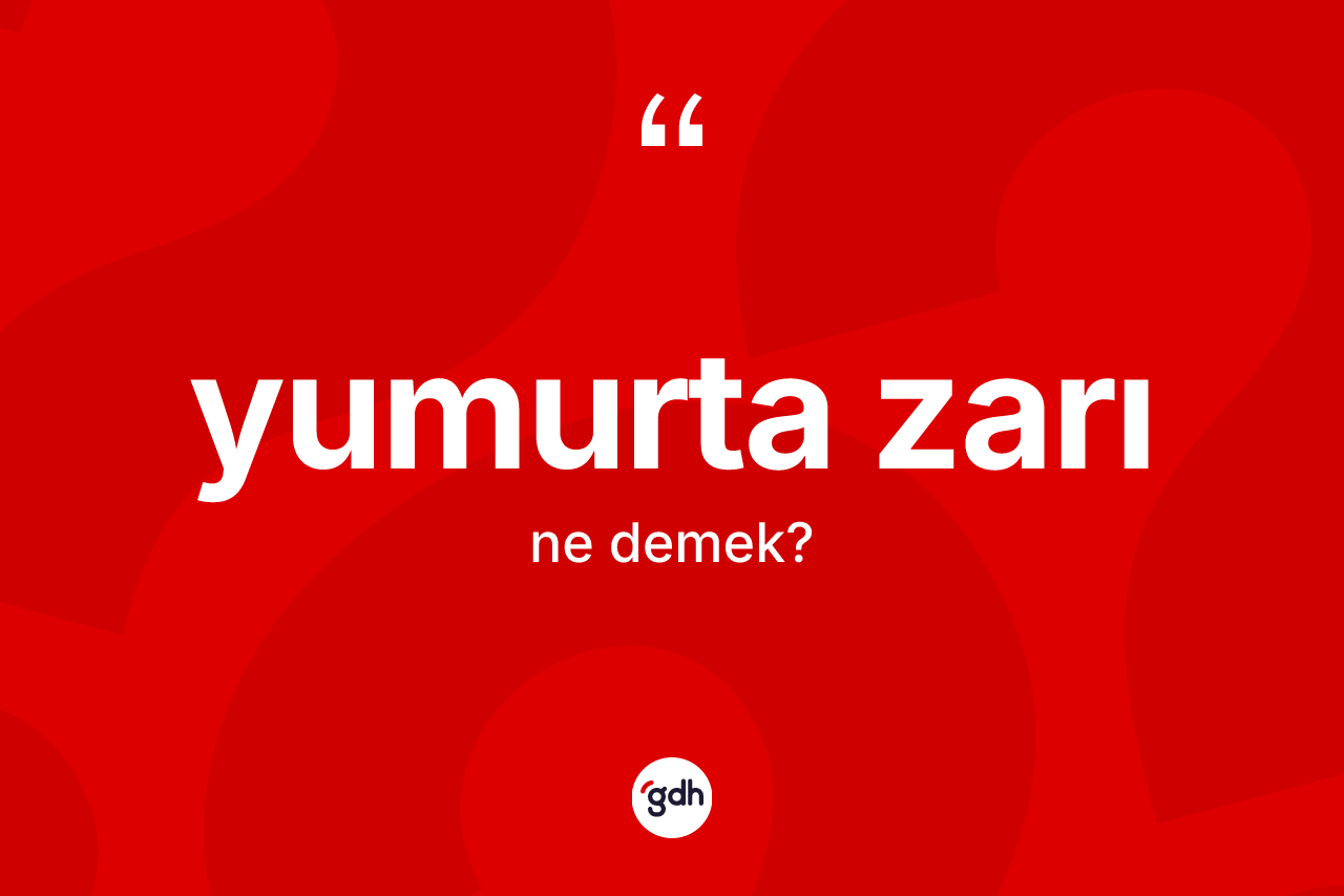 Yumurta zarı nedir? Yumurta zarının sözlükteki anlamı nedir?