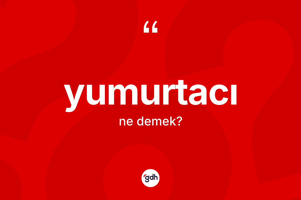 Yumurtacı kelimesinin sözlükteki tanımı nedir? Yumurtacı kelimesinin kaç farklı anlamı var?