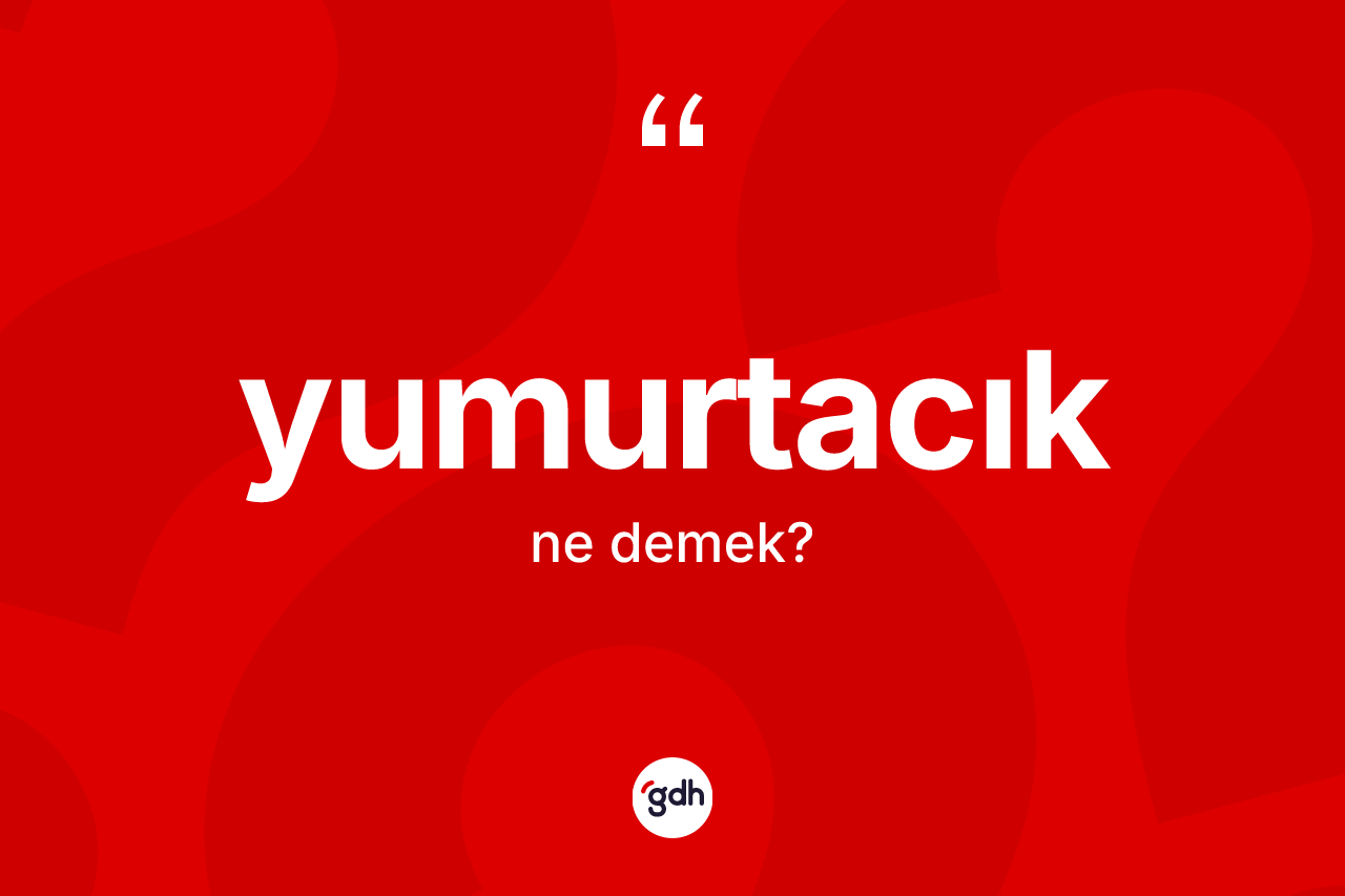Yumurtacık kelimesinin tanımı nedir? Yumurtacık kelimesinin TDK anlamı nedir?