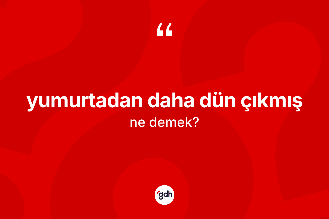 Yumurtadan daha dün çıkmış nedir?