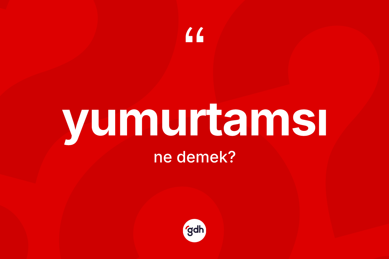 Yumurtamsı ne demek? Yumurtamsı kelimesinin özellikleri nelerdir?
