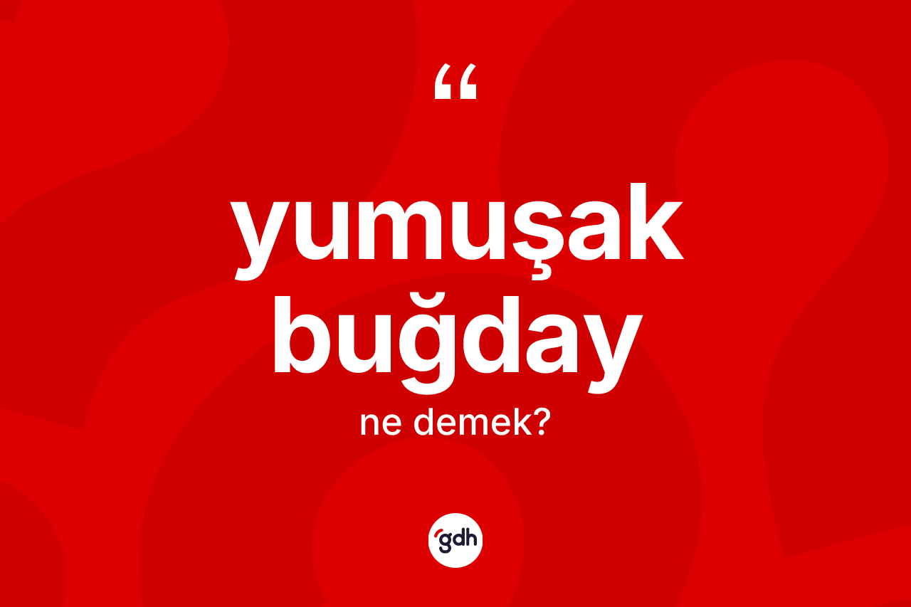 Yumuşak buğday kelimesi ne anlama gelir? Yumuşak buğday kelimesinin kaç farklı anlamı var?