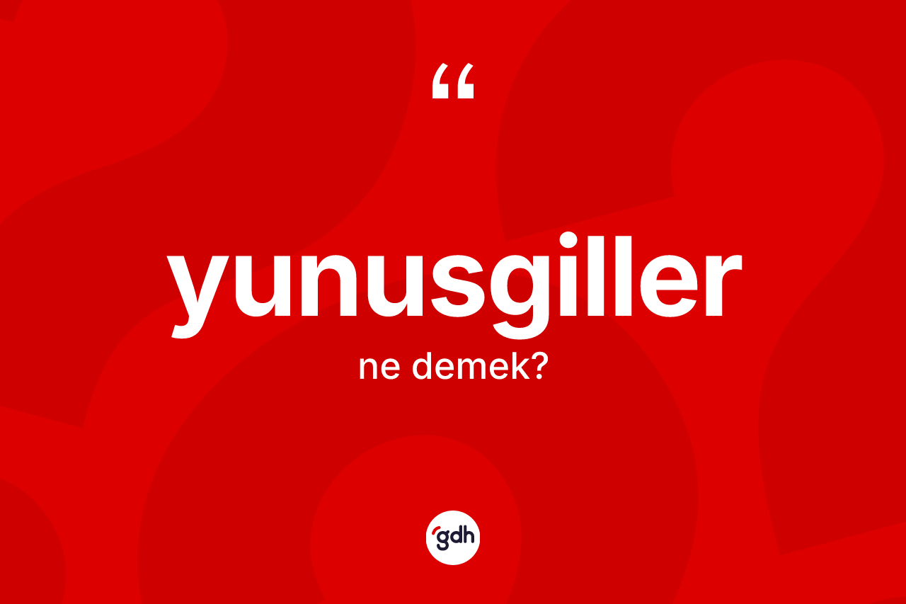 Yunusgiller kelimesi nedir? Yunusgillerin sözlükteki anlamı nedir?