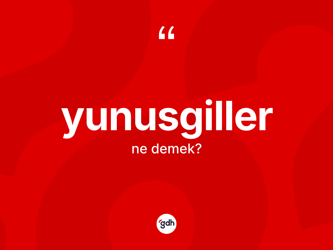 Yunusgiller kelimesi nedir? Yunusgillerin sözlükteki anlamı nedir?