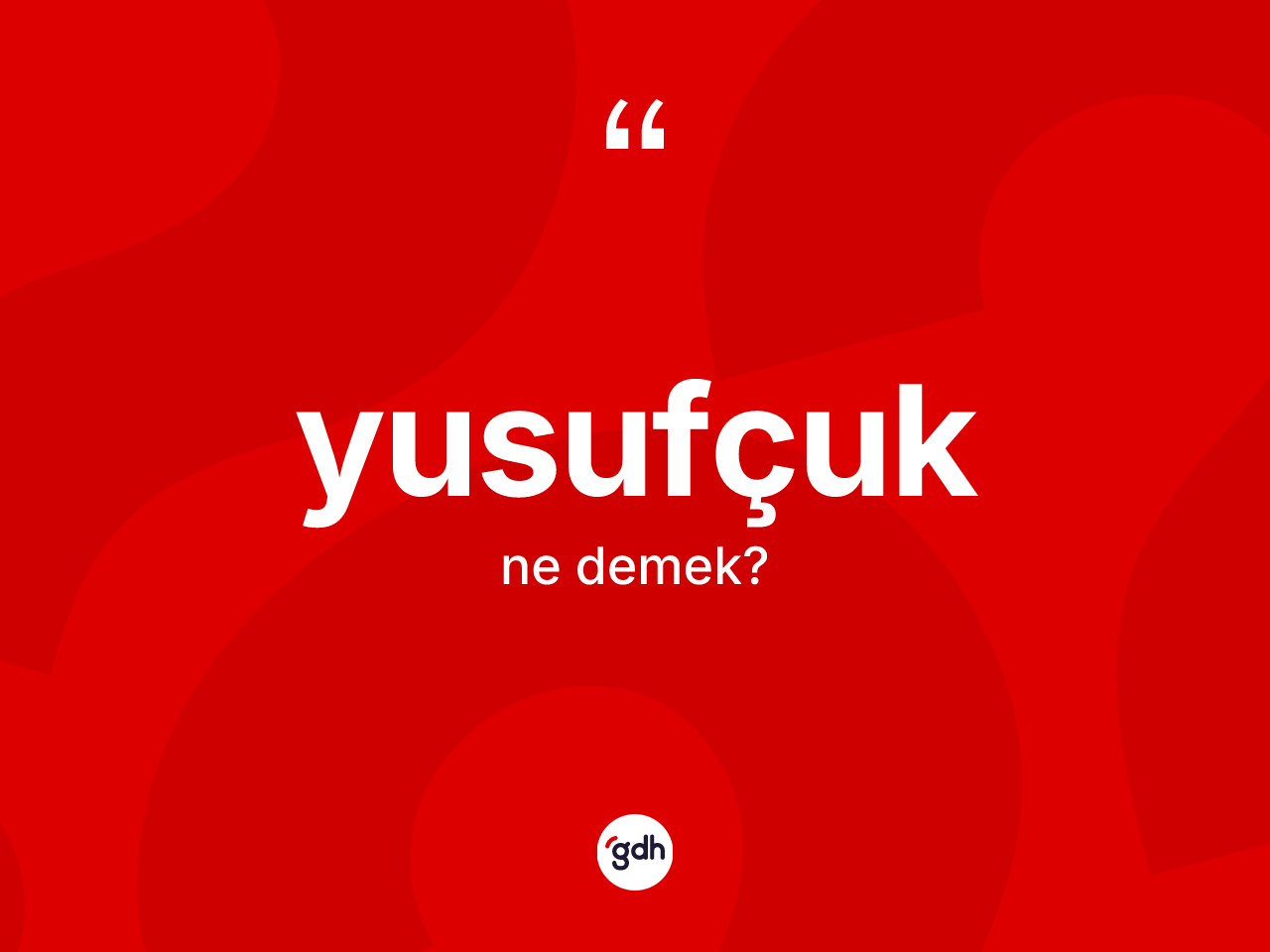 Yusufçuk kelimesinin tanımı nedir? Yusufçuk kelimesinin TDK'ya göre açıklaması nedir?