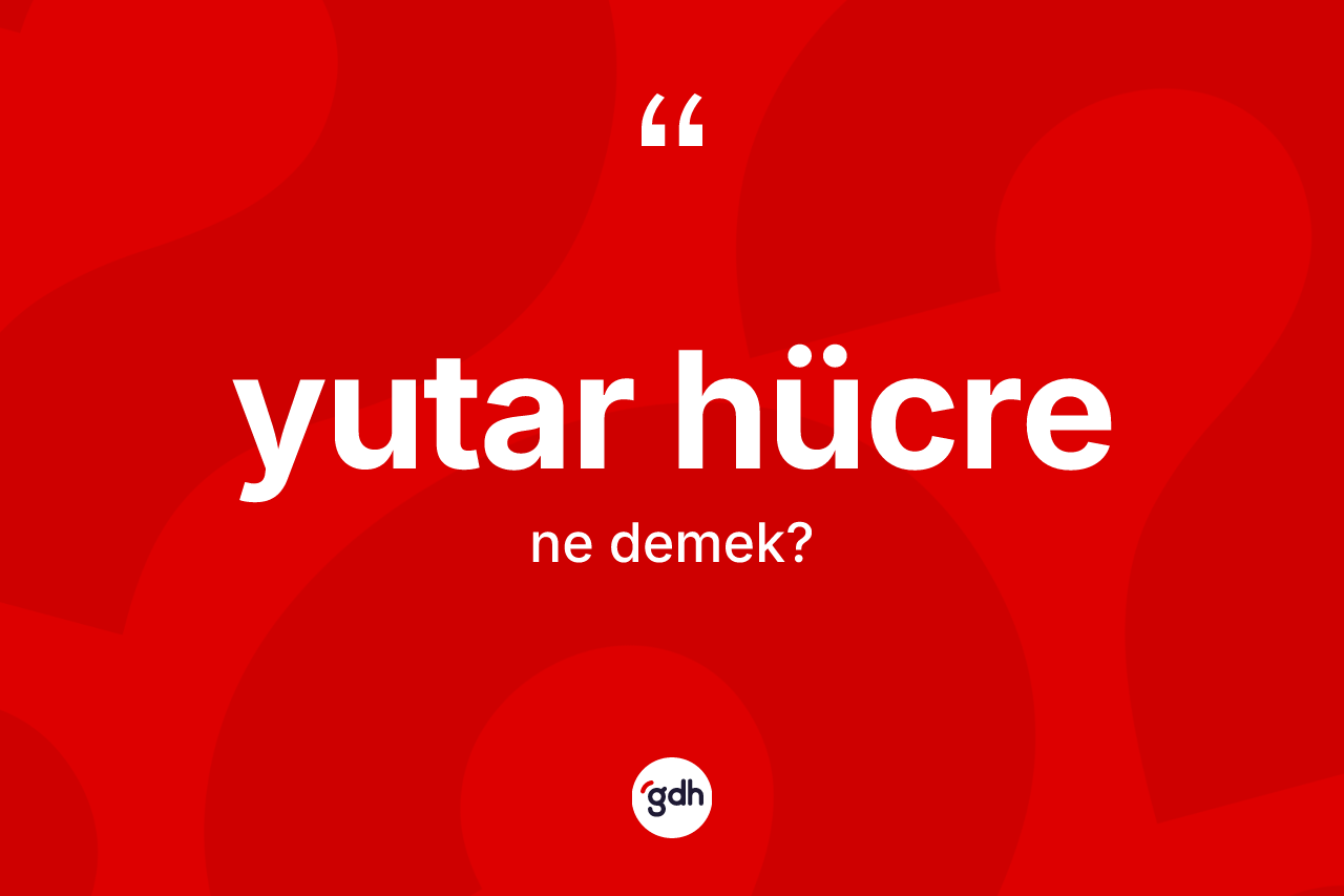 Yutar hücre kelimesi ne anlama gelir? Yutar hücrenin TDK'ya göre anlamı nedir?