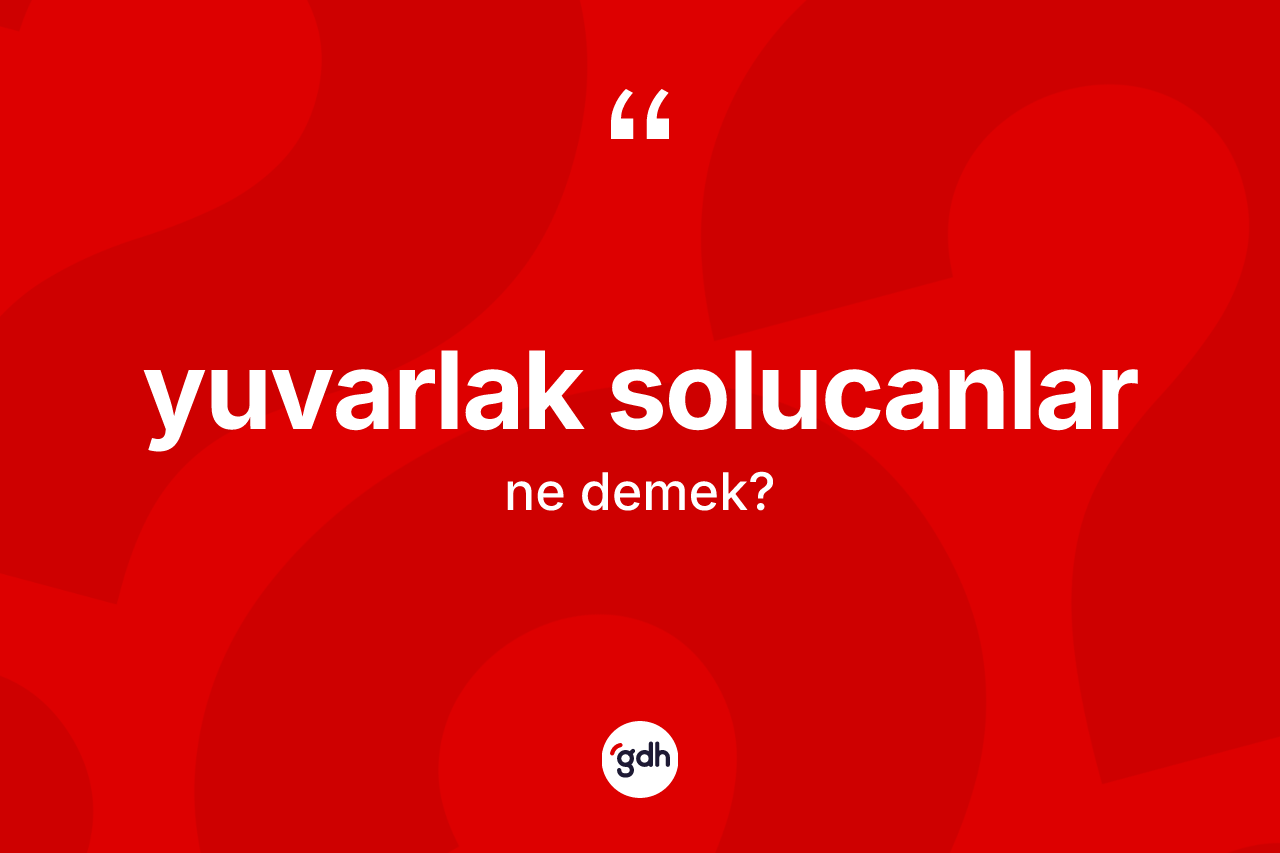 Yuvarlak solucanlar ne demek?