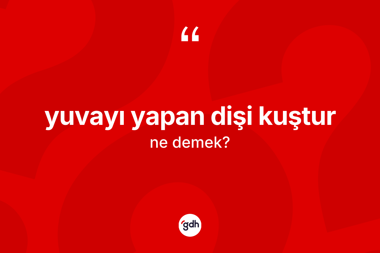 Yuvayı yapan dişi kuştur nedir?