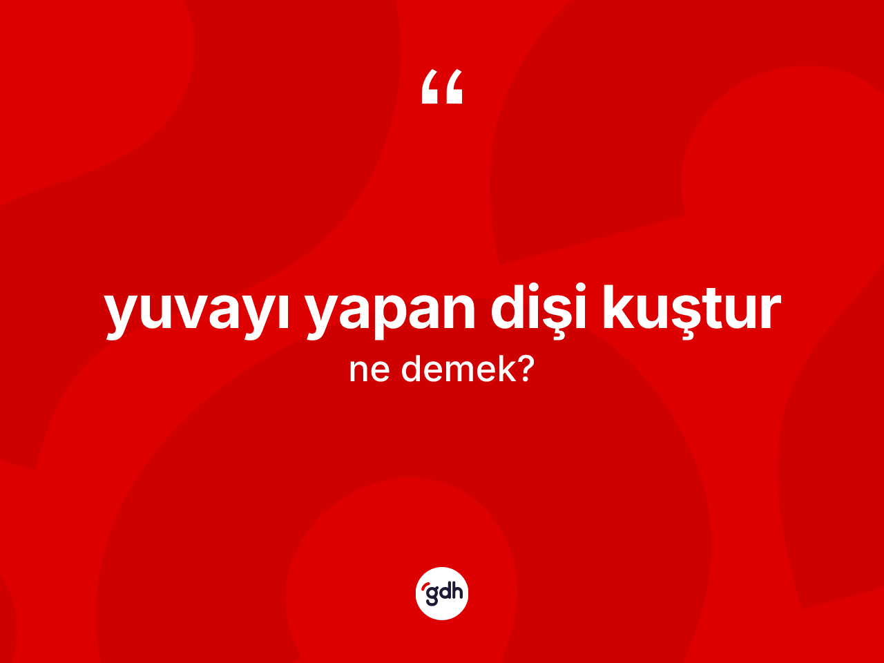 Yuvayı yapan dişi kuştur nedir? Yuvayı yapan dişi kuştur ifadesinin kaç farklı anlamı var?
