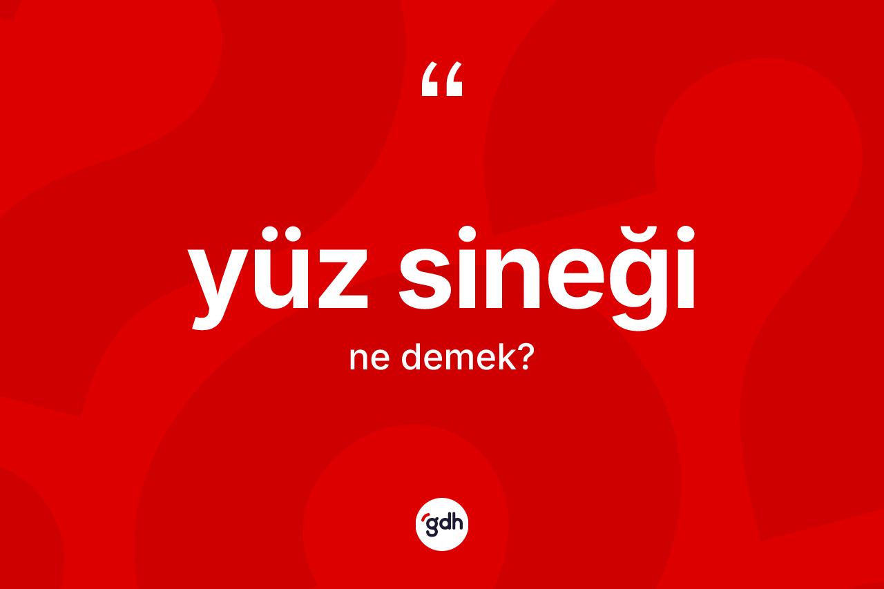 Yüz sineği kelimesinin tanımı nedir?